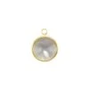 Radial Disc Gold Charm In Gray Illusion -Jewelry Shop C2223 4217704489 front lg