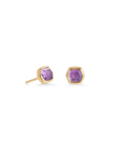 Davie 18k Gold Vermeil Stud Earrings In Amethyst